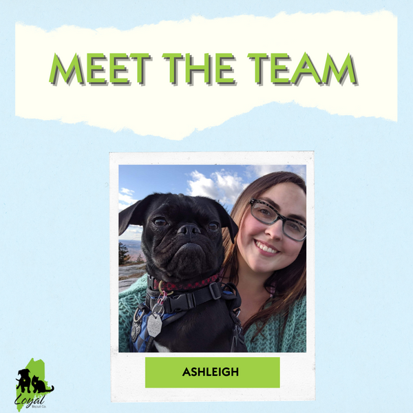 Meet The Team Member: Ashleigh!
