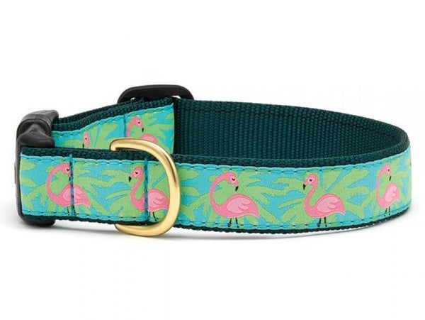 UpCountry D Collar Flamingo L Wide 1.5"