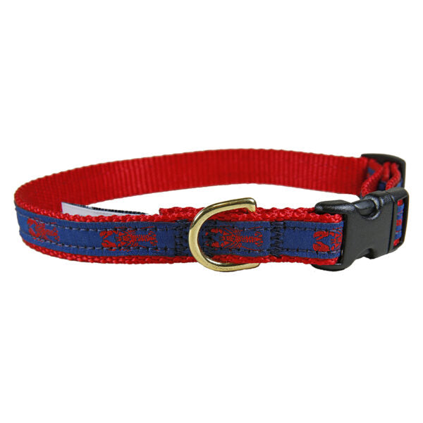 Belted Cow D Collar Blue w/Red Lobster S 5/8"