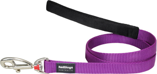 Red Dingo Leash Purple Large 25mm 6ft