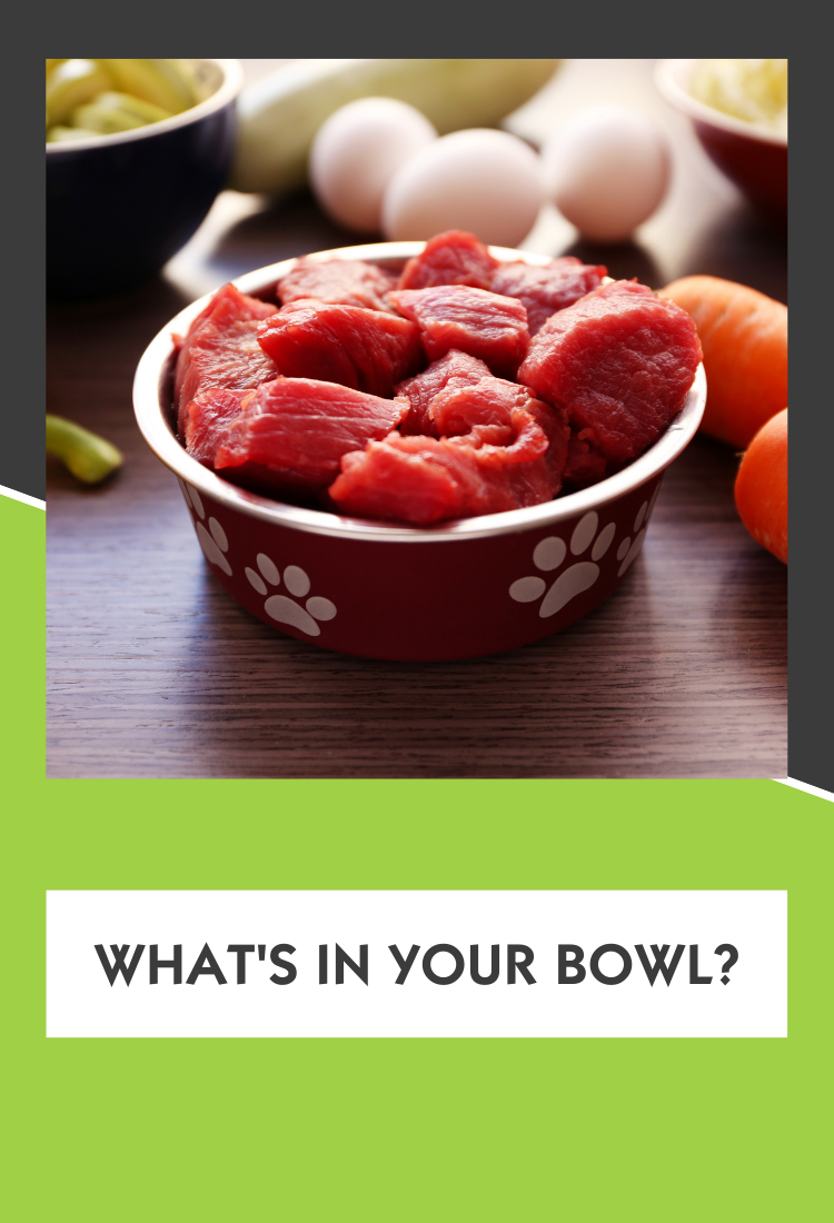 What's in Your Bowl?