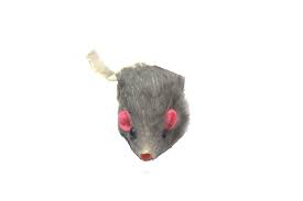 Dr. Pussums Marinated Mouse