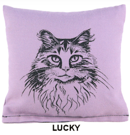 Dr. Pussums Soft Square Lucky Catnip Pillow