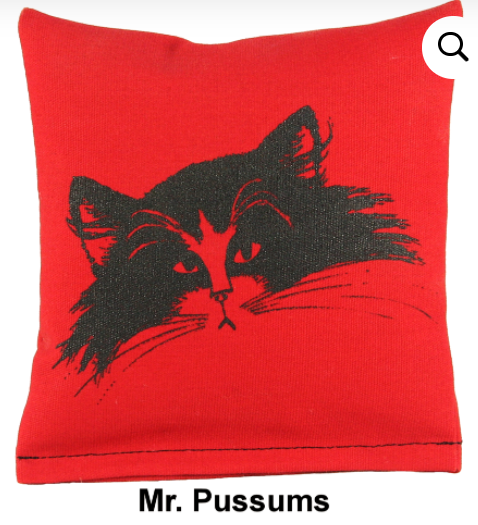 Dr. Pussums Soft Square Mr. Pussums Catnip Pillow