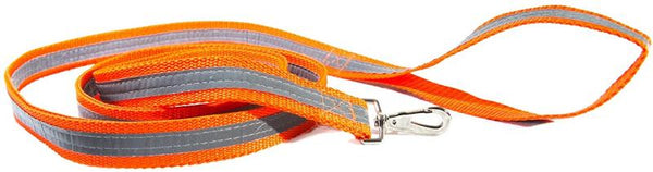 Dog Not Gone Reflective Leash 6 foot