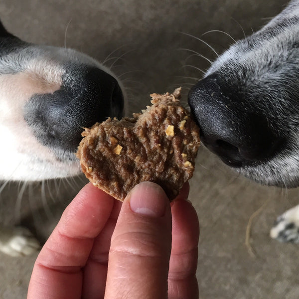 In the Kitchen with Kevin: Doggie Cheeseburgers