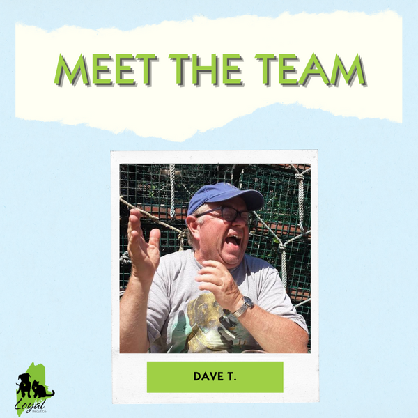 Meet The Team Member: Dave!