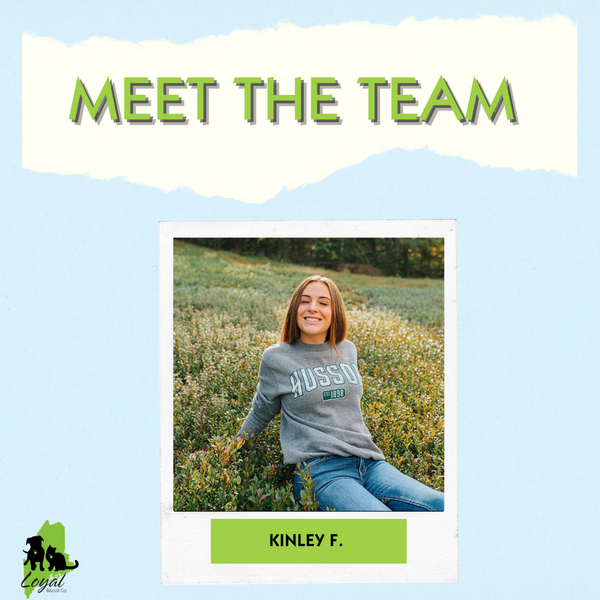 Meet The Team Member: Kinley!