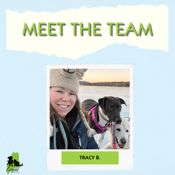 Meet The Team Member: Tracy!