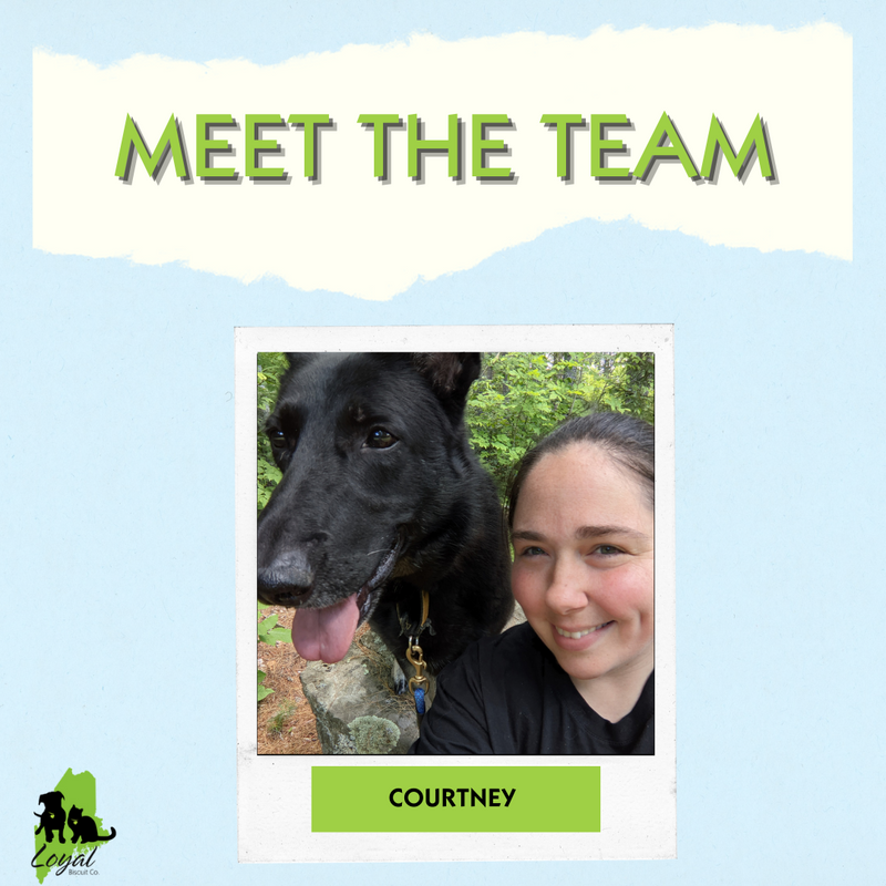 Meet The Team Member: Courtney!
