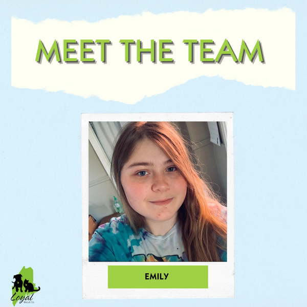 Meet The Team Member: Emily!