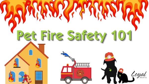 Pet Fire Safety 101
