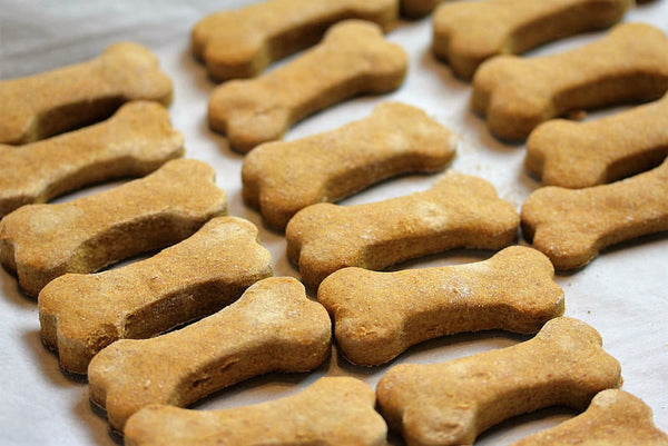 In the Kitchen with Kevin: Pumpkin Peanut Butter Dog Treats