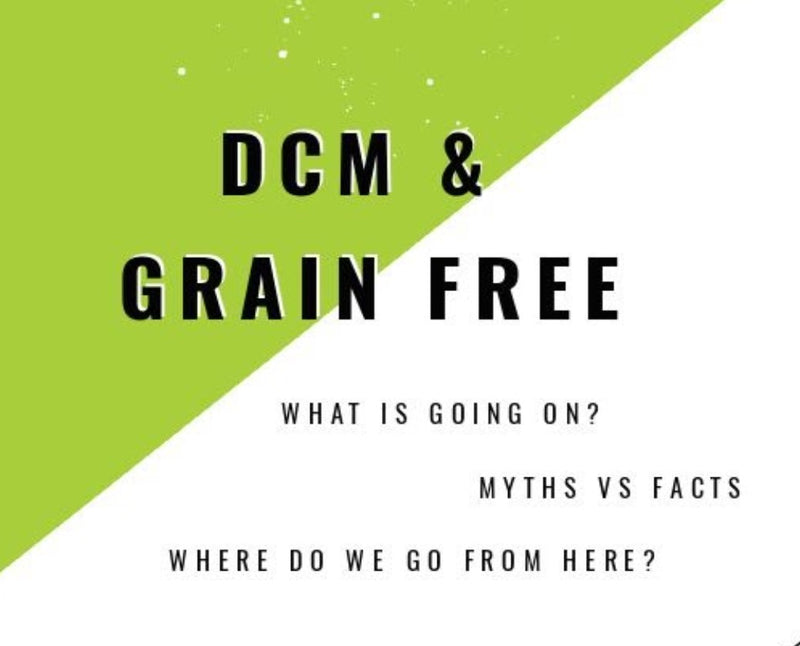 DCM & Grain Free Diets: Myths vs Facts