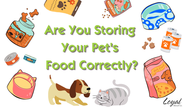 Are You Storing Your Pet's Food Correctly?