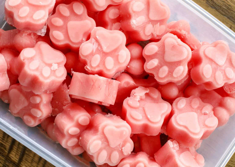 In the Kitchen with Kevin: Watermelon Pupsicles