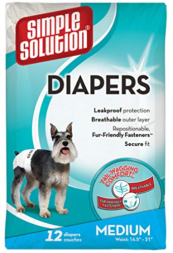 BC D Diaper Disposable M