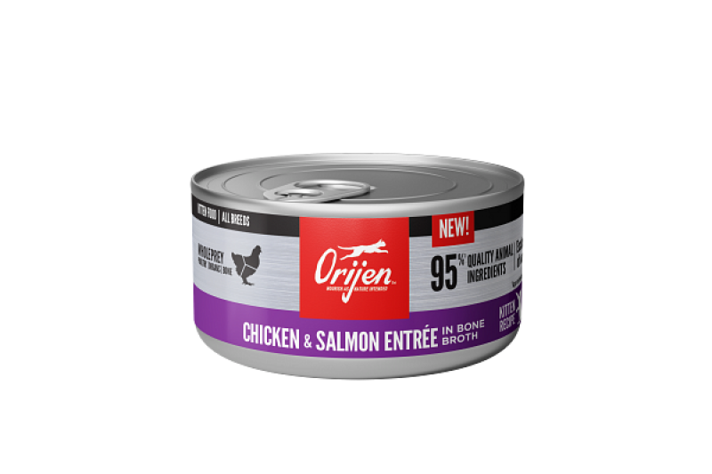 Orijen C Can Kitten Chicken & Salmon Entree 3oz