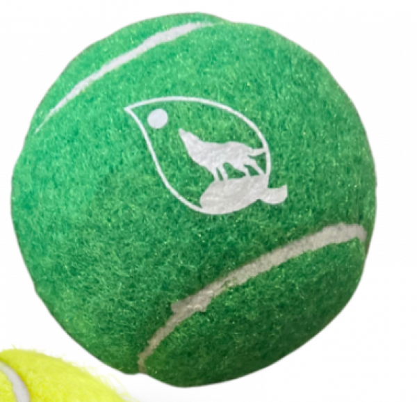 Tennis Ball EW 2.5" Squeaky
