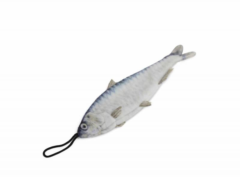 SteelDog C Sardine Toy