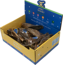 Honey I'm Home D Buffalo Ear