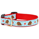 UpCountry D Collar Hedgehog M 1" - NLO