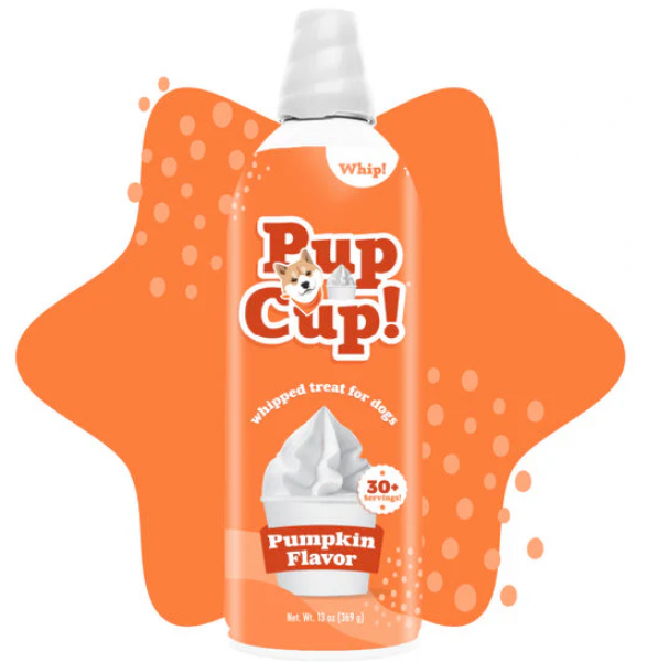 PupCup D Frozen Treat Pumpkin 13oz