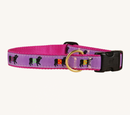 Belted Cow D Collar Beltie Purple M 1"