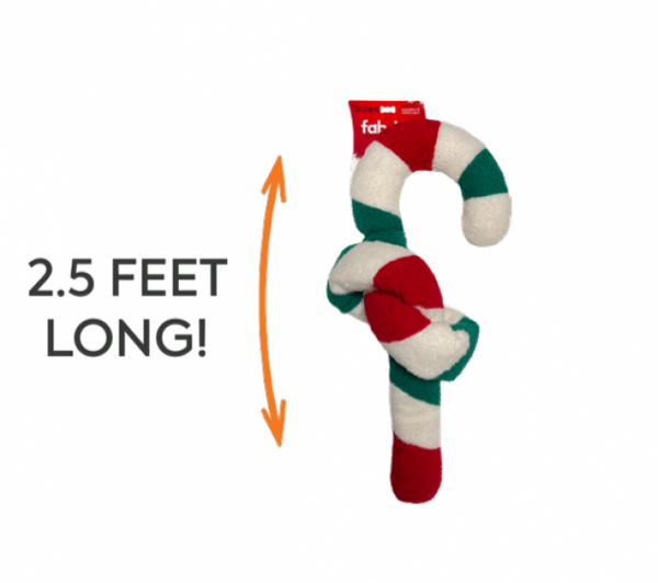 FabDog D Twisty Candy Cane S 2025
