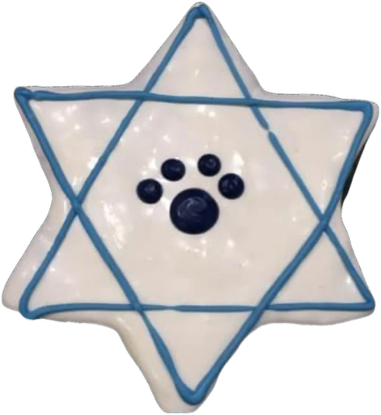 Pawsitively Gourmet D Star of David 2025