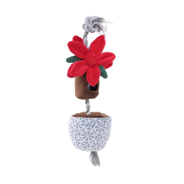 Tall Tails D Tug Treat Poinsettia 16" 2025