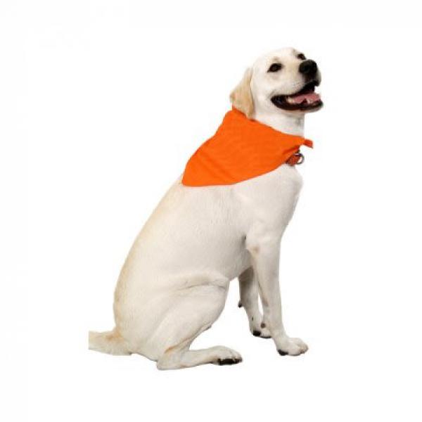 Dog Not Gone D Kerchief Tie-on Orange