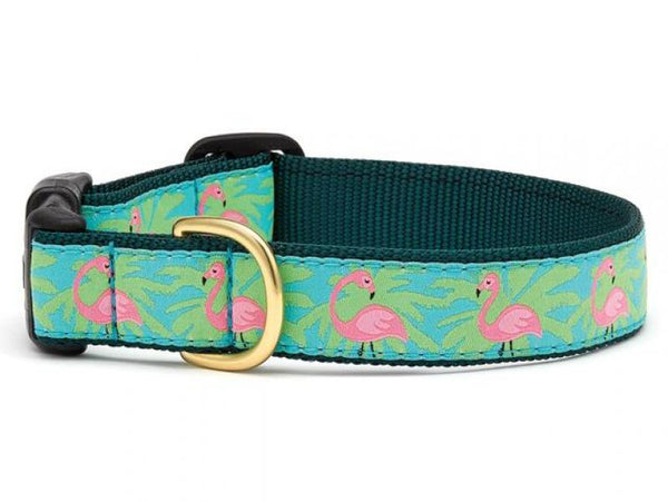 UpCountry D Collar Flamingo S Narrow