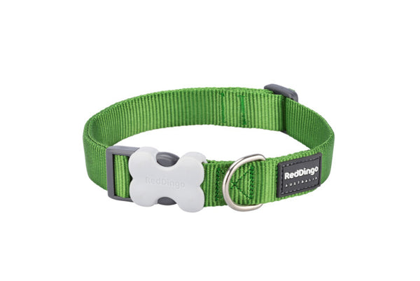Red Dingo Collar Green Large 25mm