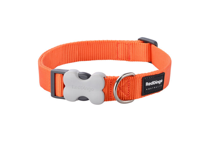 Red Dingo Collar Orange Large 25mm