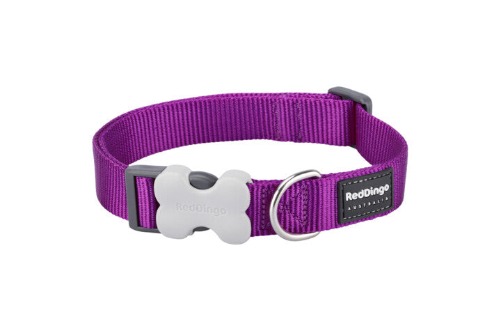 Red Dingo Collar Purple Medium 20mm