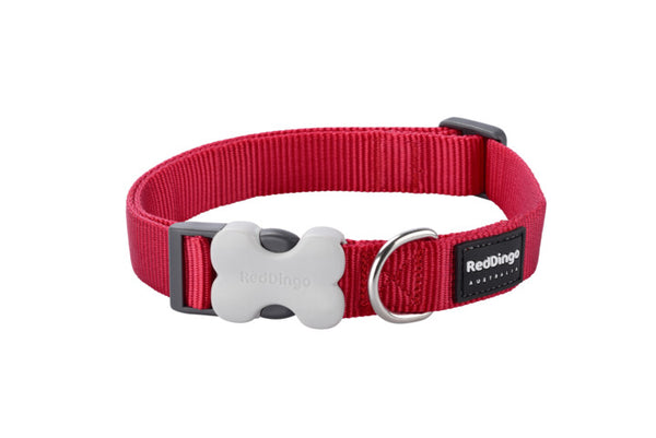 Red Dingo Collar Red Large 25mm