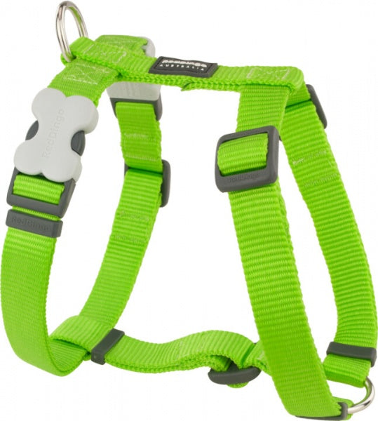 Red Dingo Harness Lime Green Large 25mm