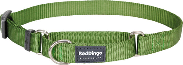 Red Dingo Martingale Green Medium 20mm