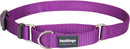 Red Dingo Martingale Purple Medium 20 mm