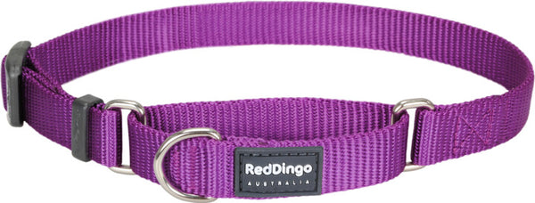 Red Dingo Martingale Purple Small 15mm