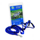 Come With Me Kitty Harness Blue Medium