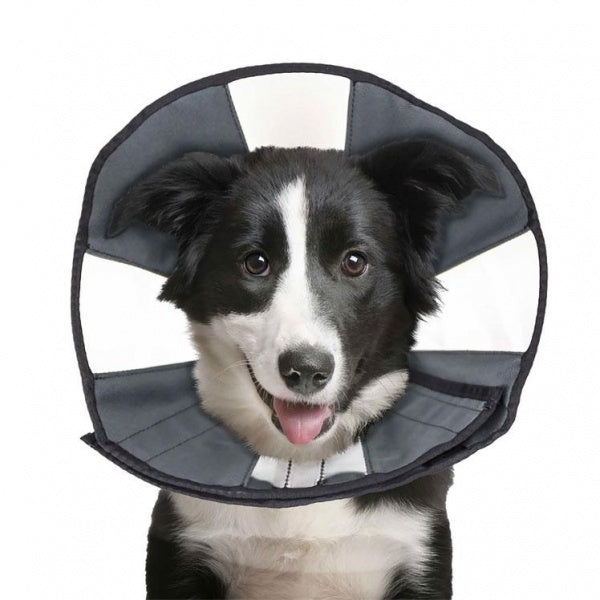 ZenPet D Zen Cone Recovery Collar L