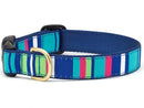 UpCountry D Collar Sutton Stripe M 1" - NLO