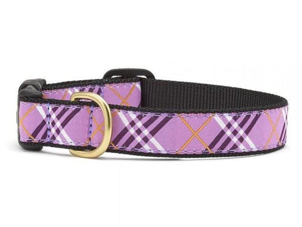 UpCountry D Collar Lavender Lattice L 1"