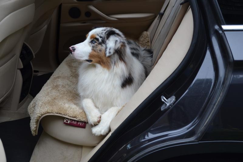 Car Pet D Pet Seat Cover Beige