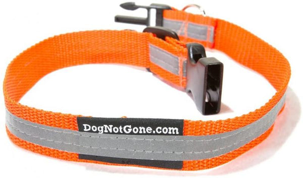 Dog Not Gone Reflective Collar Large 24"