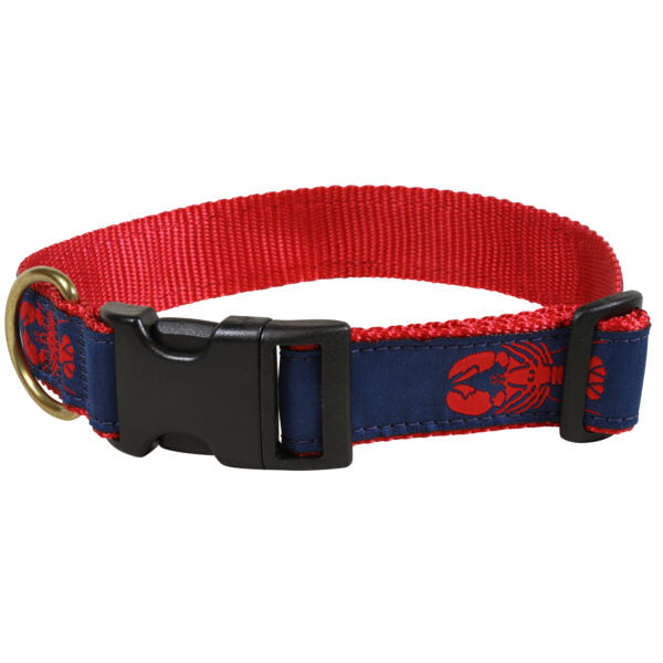 Belted Cow D Collar Blue w/Red Lobster L 1.25"