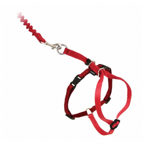 Come With Me Kitty Harness Red Small