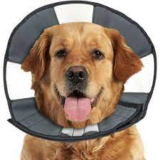 ZenPet D Zen Cone Recovery Collar XL